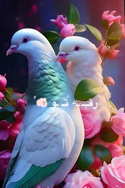 پرنده های عاشق 