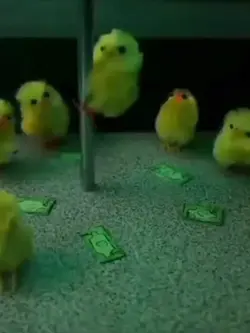 Pole chick meme