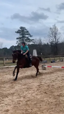 OTTB mode activated😂