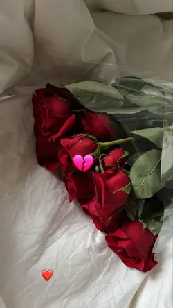 ای دل 😔🙌🏻🤍