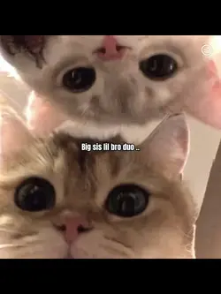 Brother and sister