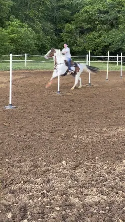 pole dancerrrr