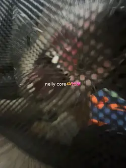 nelly core💗