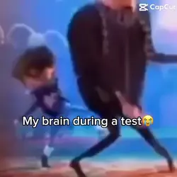 My brain during a 