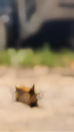 4k-CC