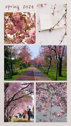 spring 2024 🌸