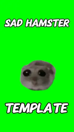 Sad Hamater Meme