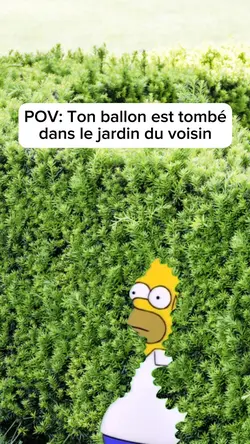 Homer se montre