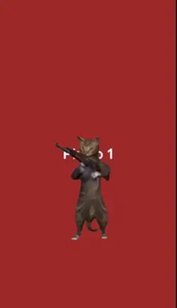 Cat shooting meme