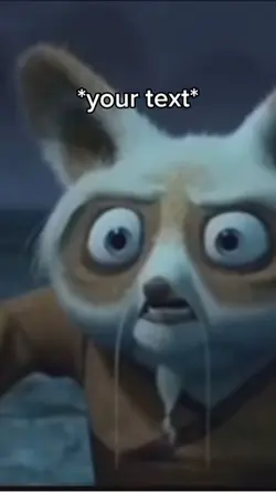Kung fu panda meme