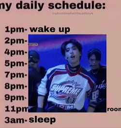 My daily schedule