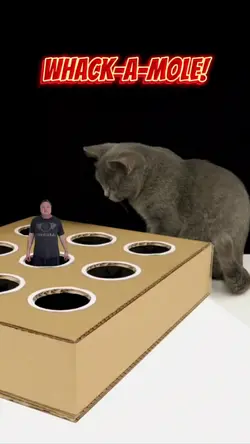 Whack-a-Mole