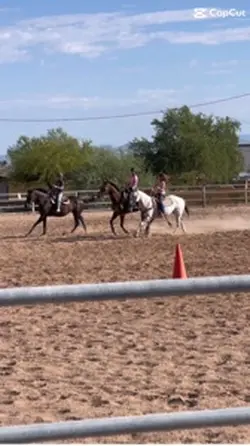 Horses. #friends 