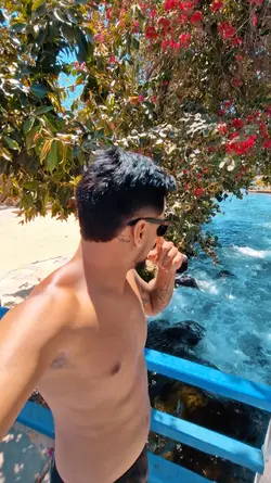 Viral 