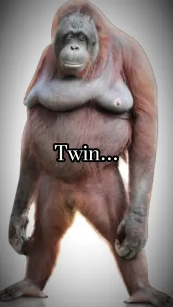 Fat Monkey Meme