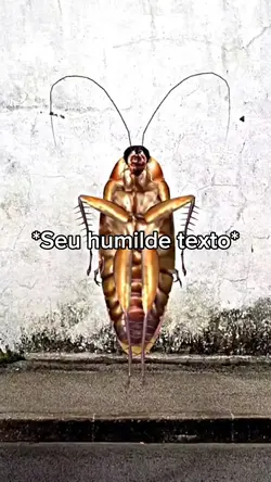 Barata dançarina