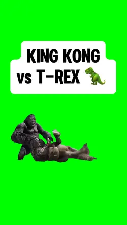 KING KONG FIGHTING