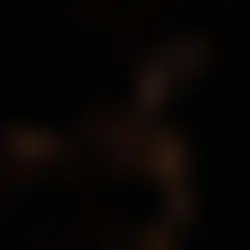 Cannibal