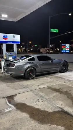 dud stang