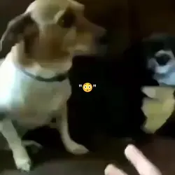 ""