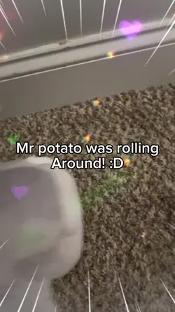 :3