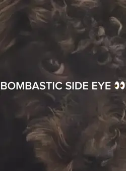 BOMBASTIC SIDE EYE