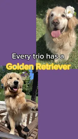 Every trio has…