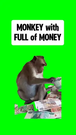 MONKEY with CASH