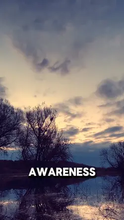Self-Awareness