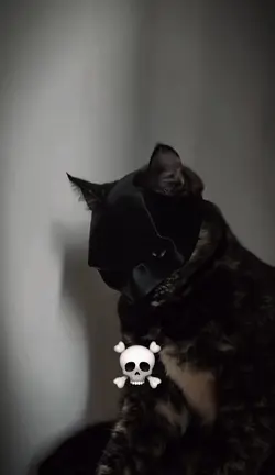 SKULL+GLITCH 1:1