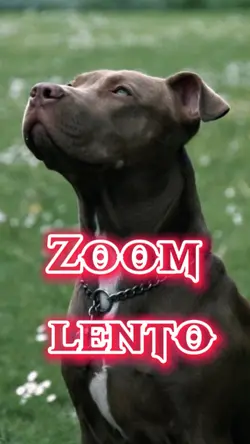 Fantástico 