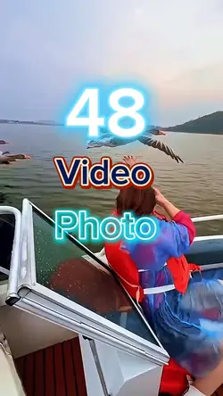 New template 2025 