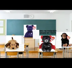 Exam day.....
