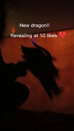 new dragon 