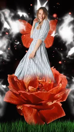 Rose opening 
