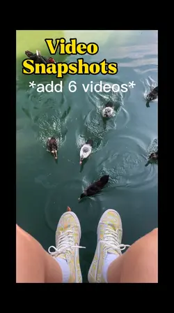 VIDEO FREEZE