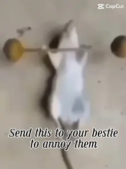Send to your bestie