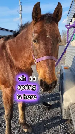 spring? is that you?