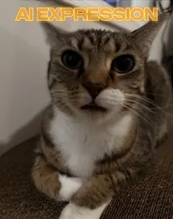 Ai expression filter