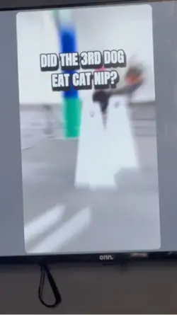 .