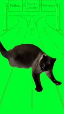 Werk werk werk cat