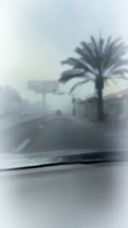 Camino