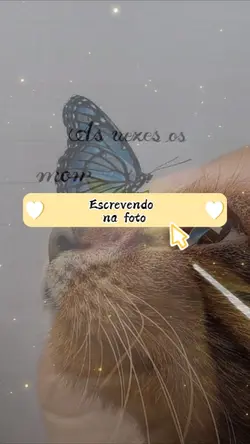 escrevendo