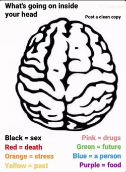My head