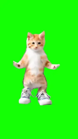 Dancing kitty 