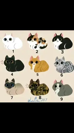 Trend gatos