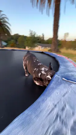 luna💗