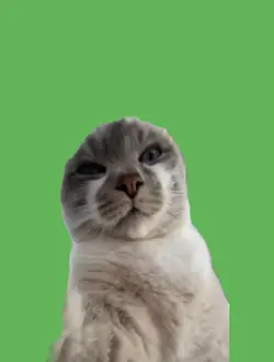 Miauuuu miauu miau