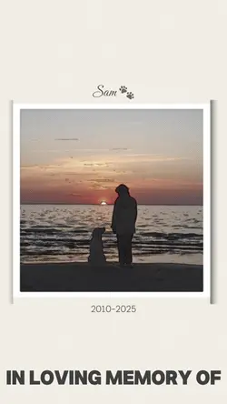 In loving memory of
