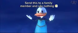 Frozen Duck